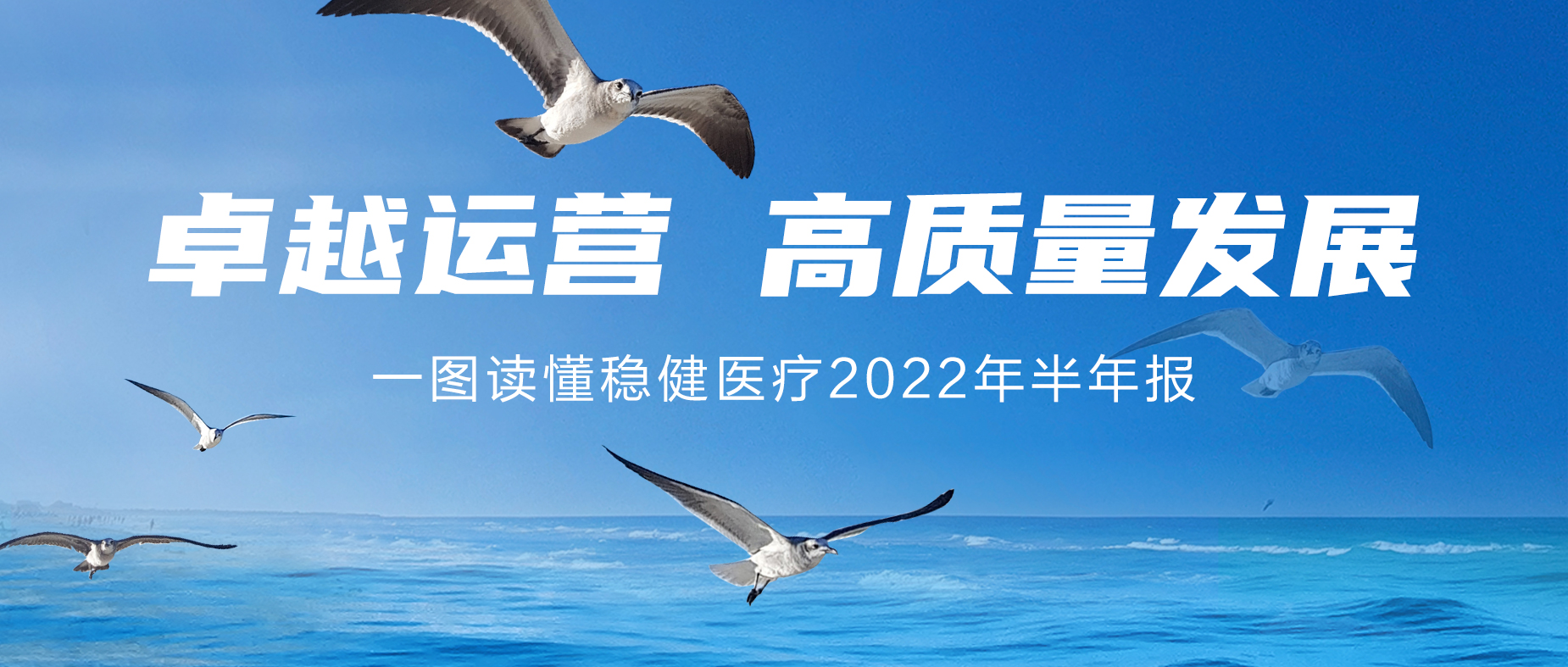一图读懂2003网站太阳集团2022年半年报