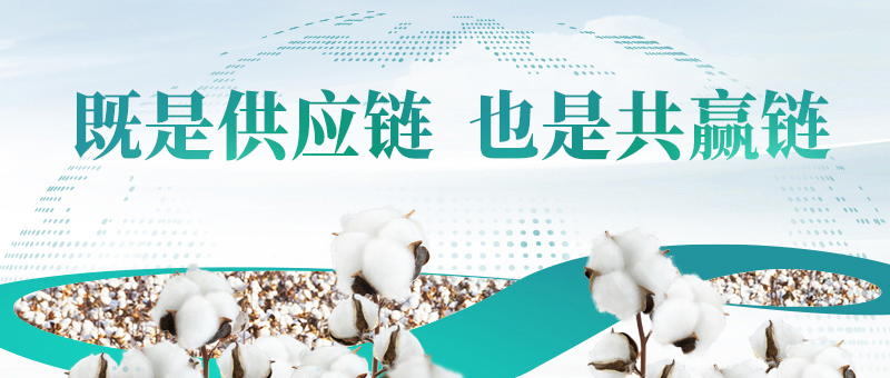 棉花的供给链，2003网站太阳集团共赢链