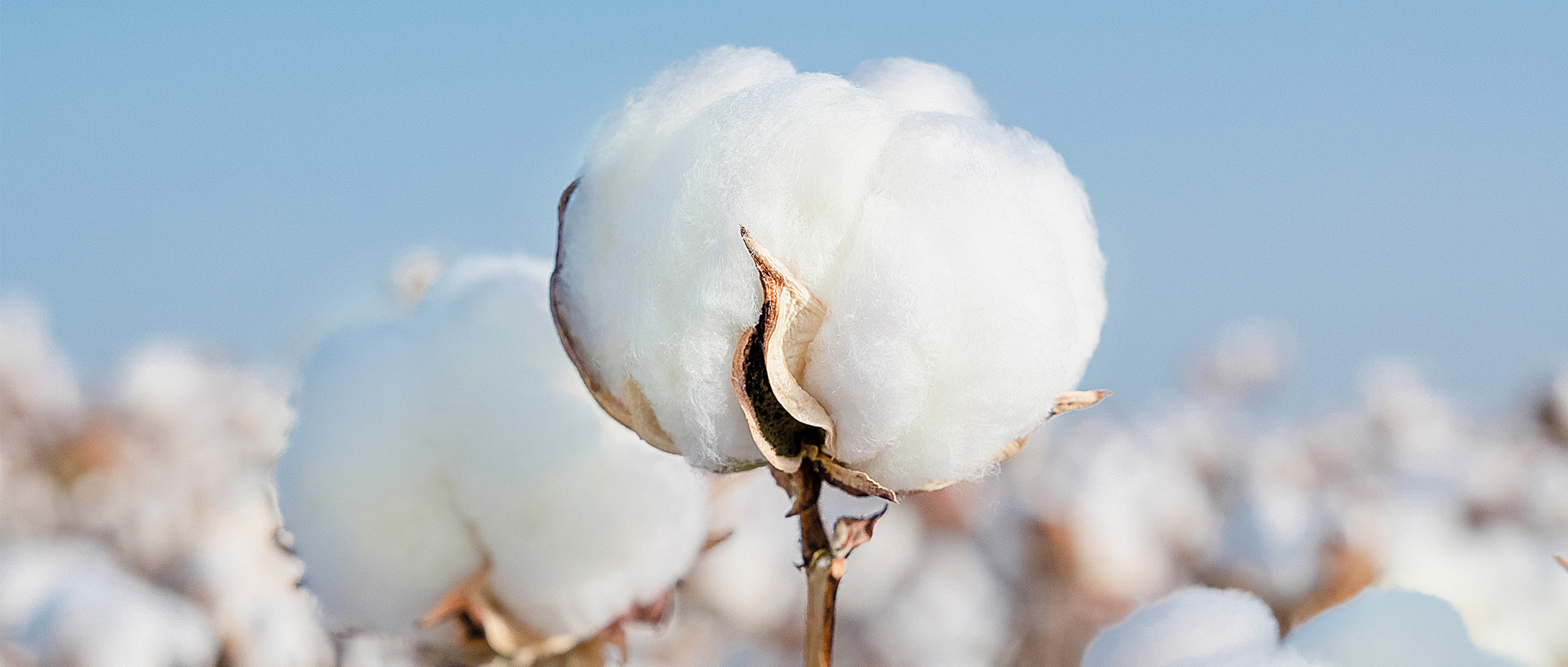 一图读懂2003网站太阳集团集团2024年度ESG汇报